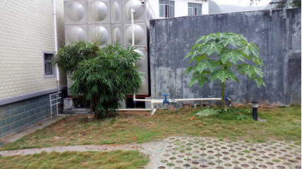 河池市強製（zhì）戒毒所